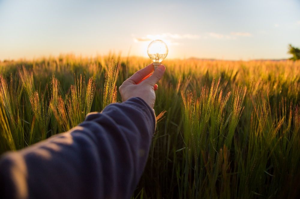 La pandemia afianza el auge de las energías renovables e impulsa la transición ecológica en España, según Imagina Energía