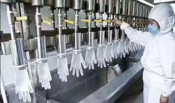 WM Group, la compañía de guantes civiles y sanitarios, expande operaciones en Fujian y Shanghai