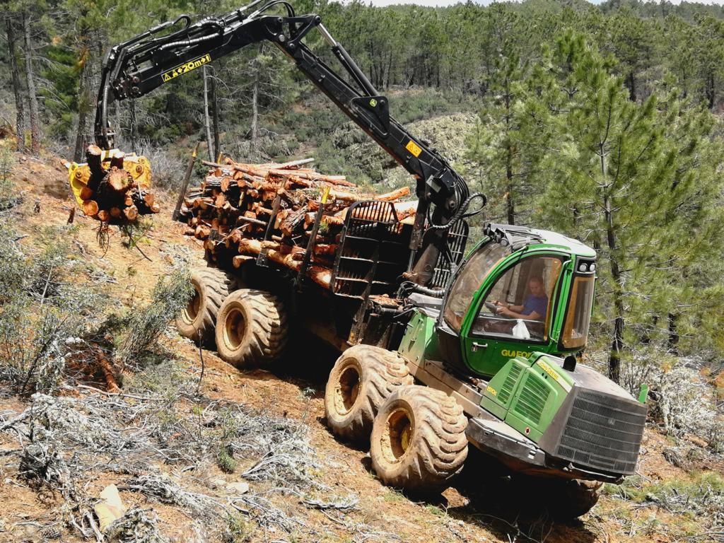 Leñas El Cardoso emplea a 10 trabajadores de la comarca de la Sierra Norte de Guadalajara