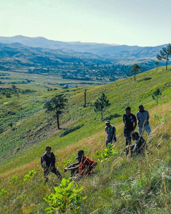 Treedom destaca la importancia del cuidado de los bosques en España