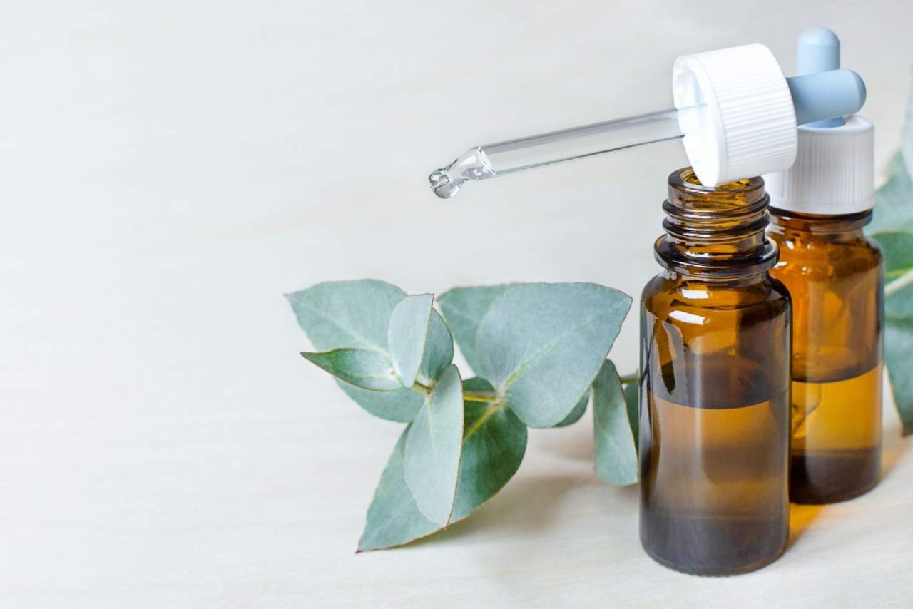 Naturoterapia en España, ¿es una ciencia natural popular?