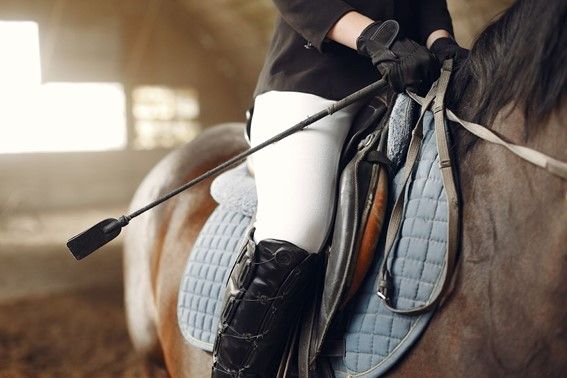 Equipamientos imprescindibles para la equitación