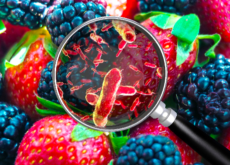 MicroPlanet: Más del 50% de las intoxicaciones alimentarias tienen su origen en el hogar