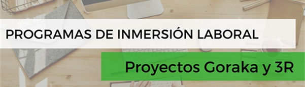 Programas de inmersión laboral: Participación de Talio en los proyectos Goraka y 3R