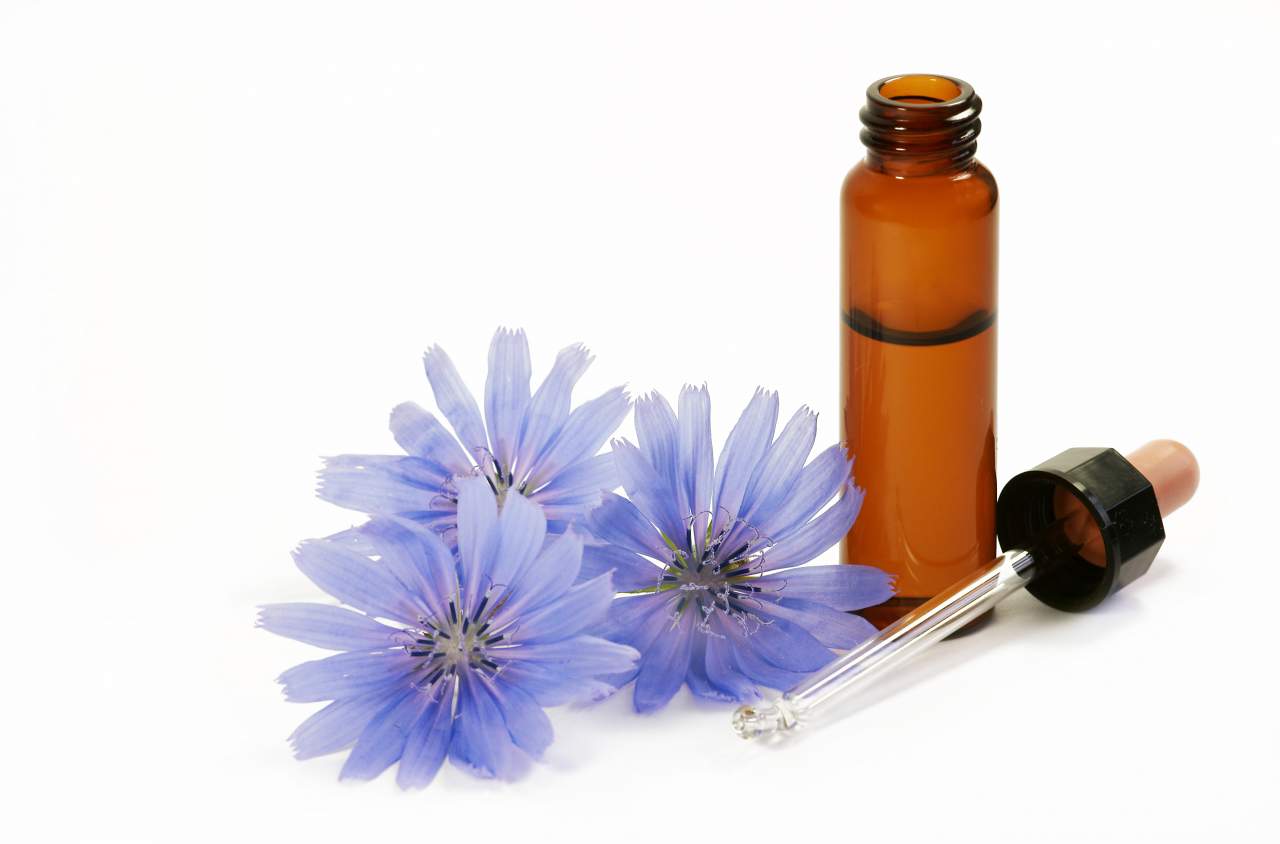 Flores de Bach, terapia floral para vivir mejor
