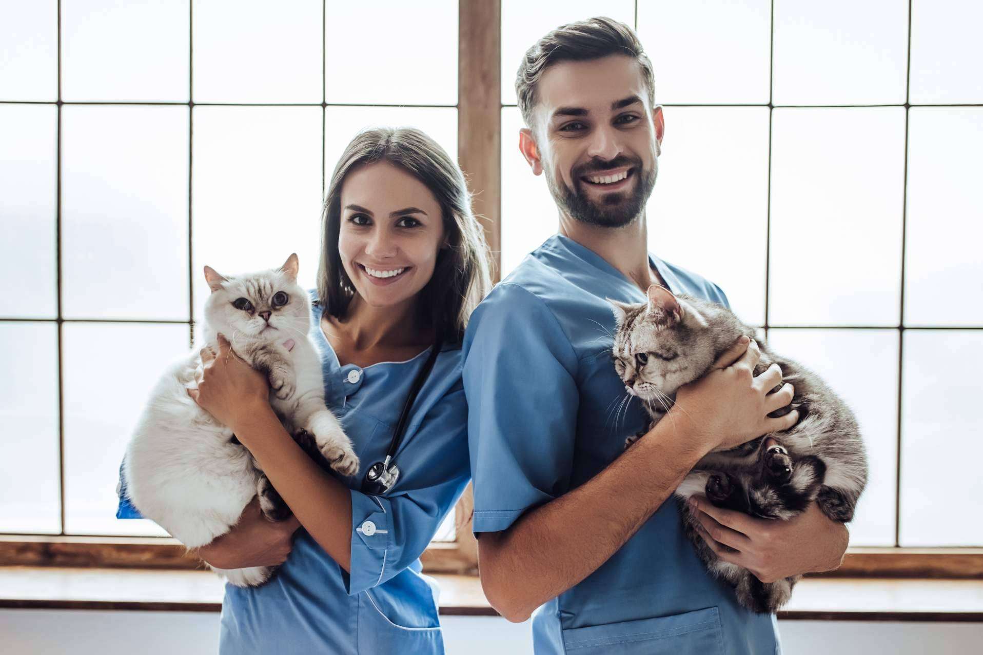 ¿Qué ofrece el Curso Auxiliar Técnico de Veterinaria de Tecni Estudio?