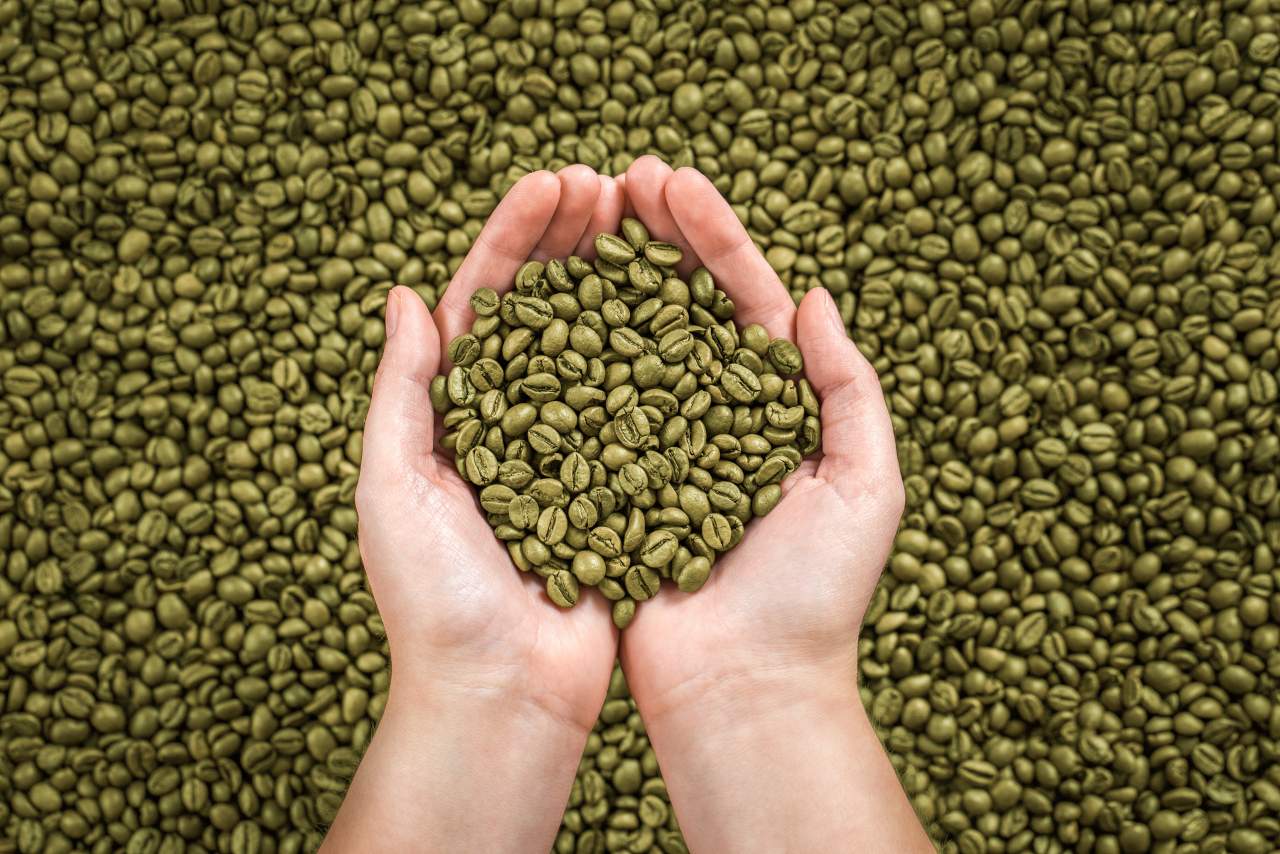 La recomendación de comprar café verde por Libis Coffee Roaster