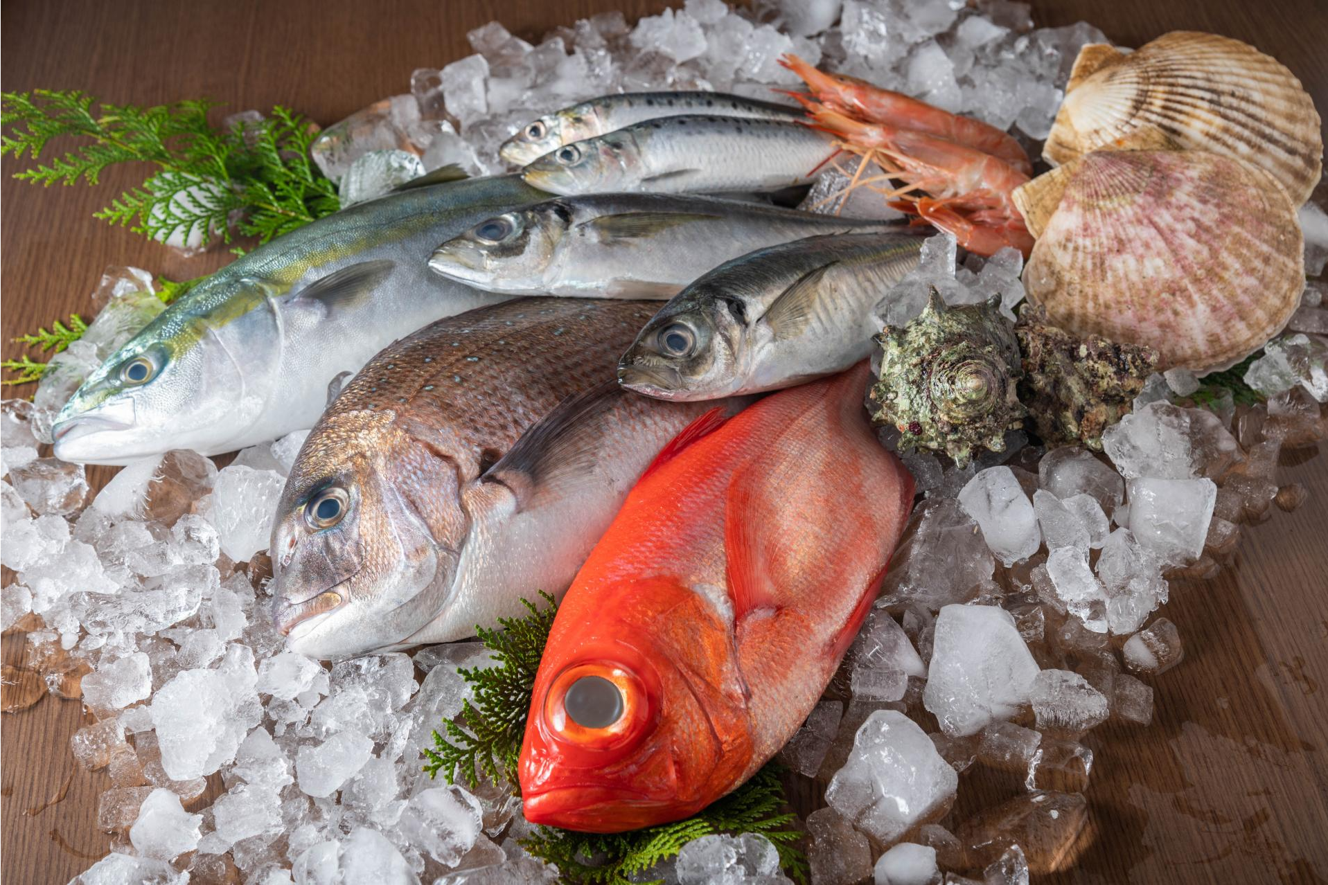 Las cámaras frigoríficas para pescaderías más populares en España de Aacore Supply