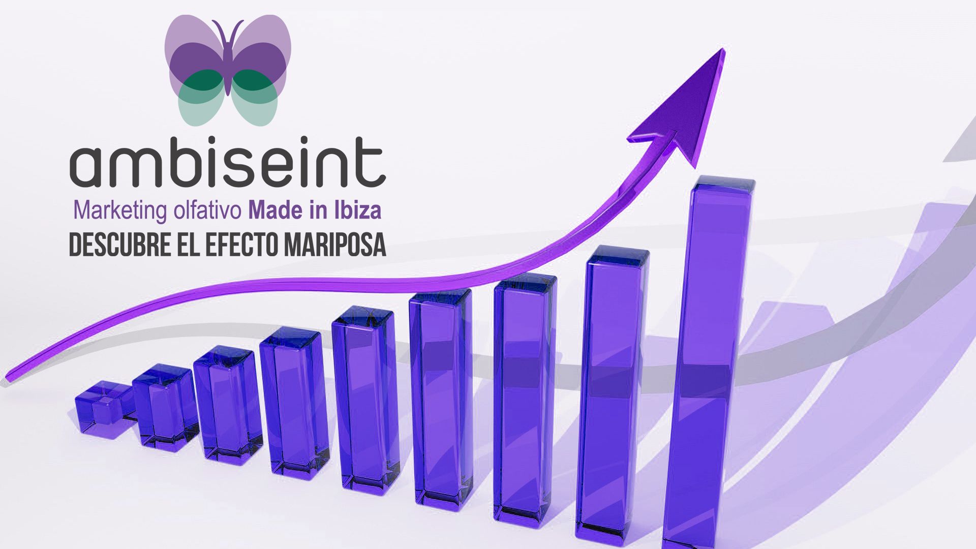 Ambiseint supera las 95 franquicias