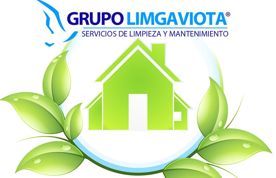 Consejos de higiene y limpieza del hogar, por Puligaviota