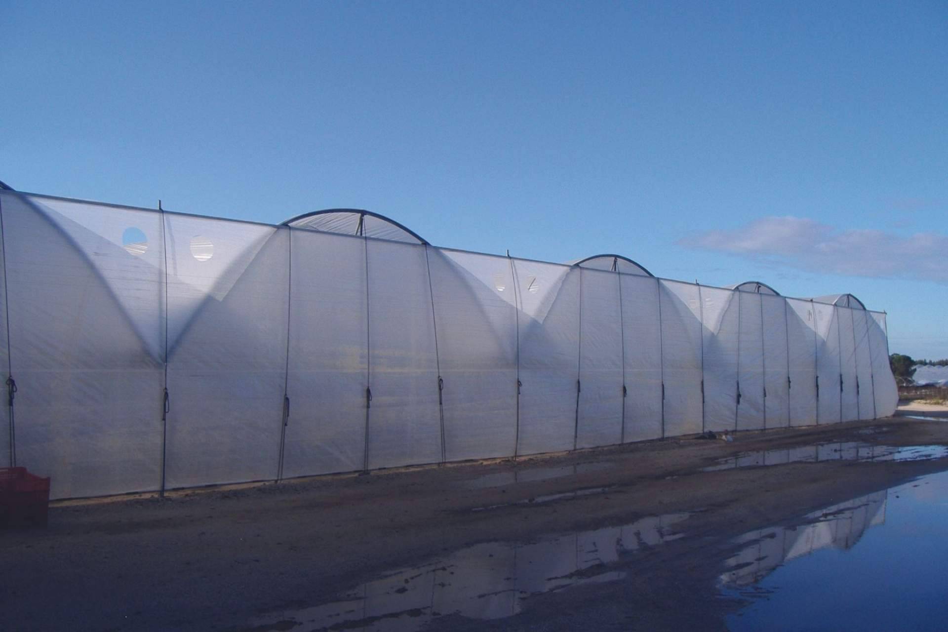 AGRALIA: la empresa con tecnología patentada para la protección de cultivos que tiene presencia internacional