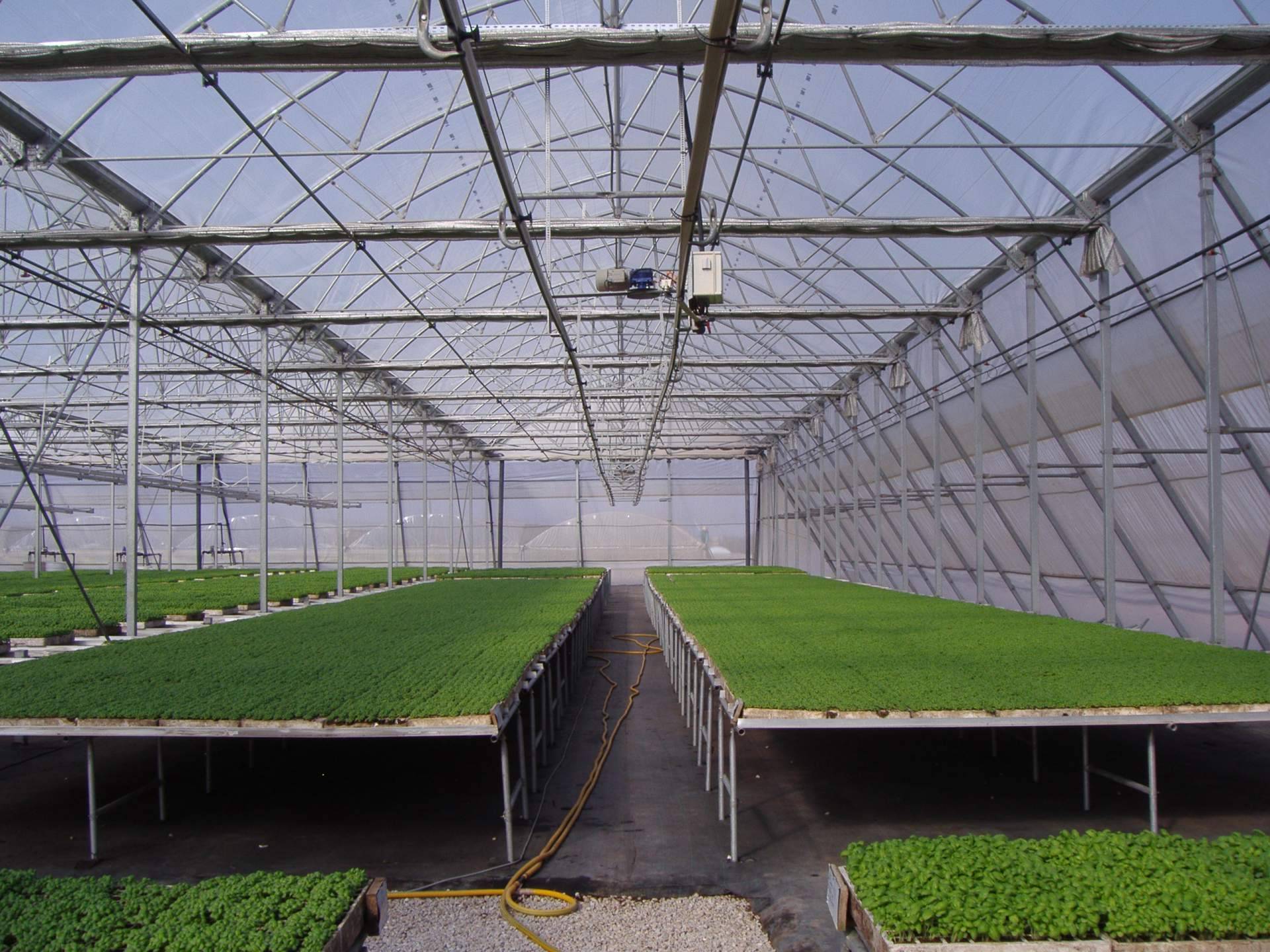 Malla termodifusora con partículas de aluminio: mejorar la calidad del cultivo gracias a los servicios de la empresa AGRALIA