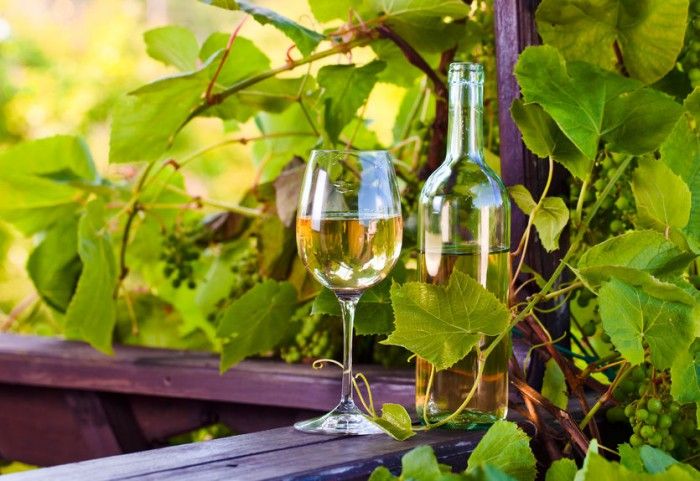 Delivinos Urban Gourmet presenta 13 mitos y propiedades del vino blanco