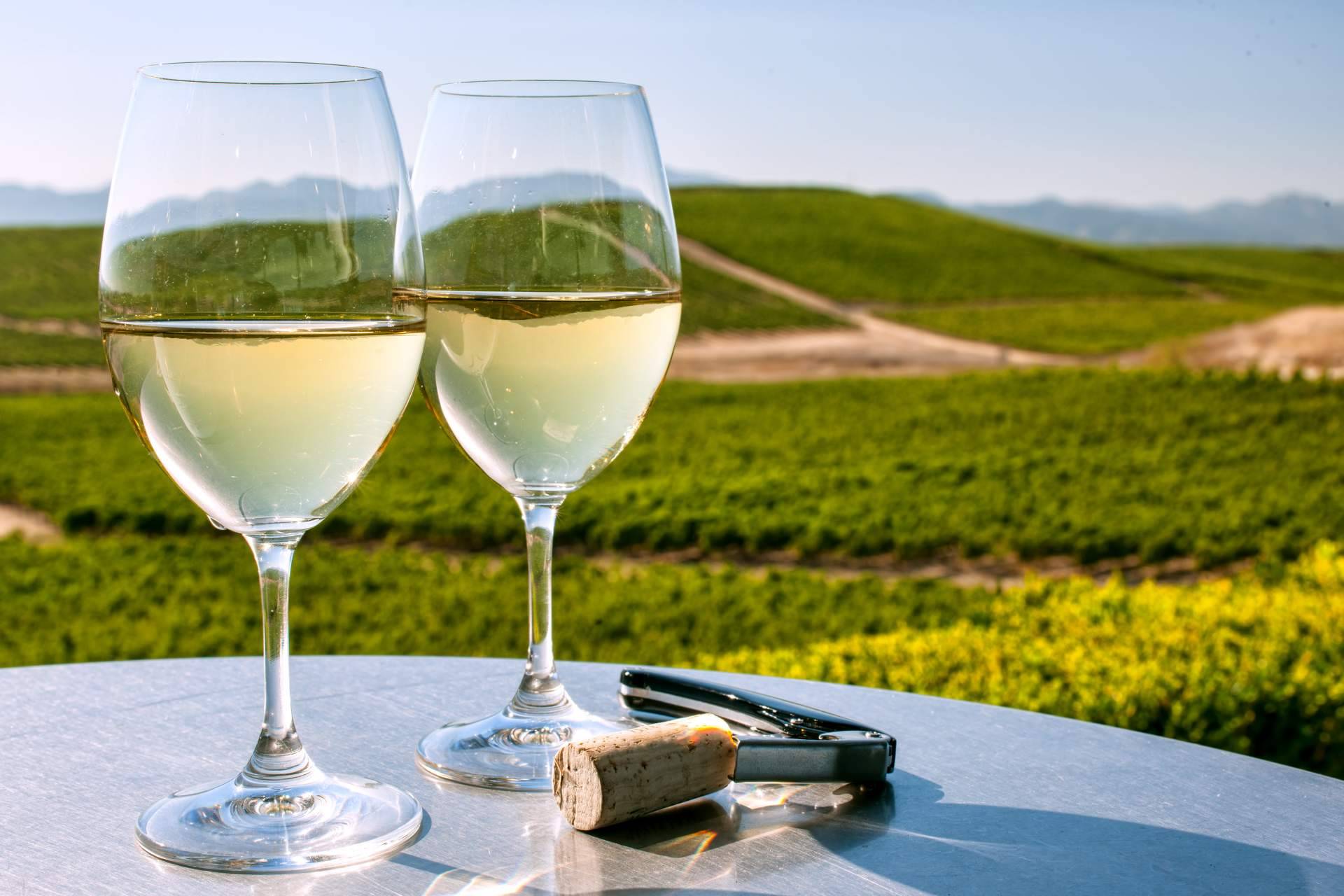 Vinos del Marco de Jerez: identidad propia y sabor único con De Gálvez