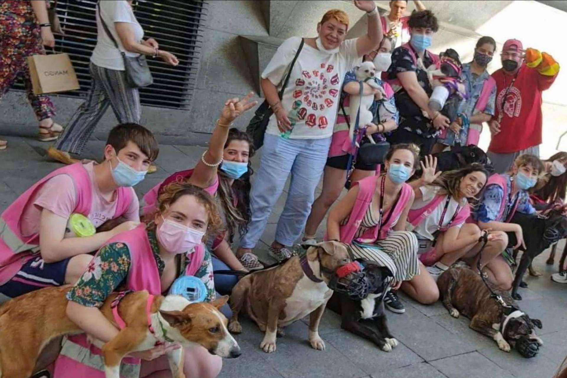 Guardería canina PERROBUENO: el lugar para que las mascotas estén como en casa, libres y sin jaulas