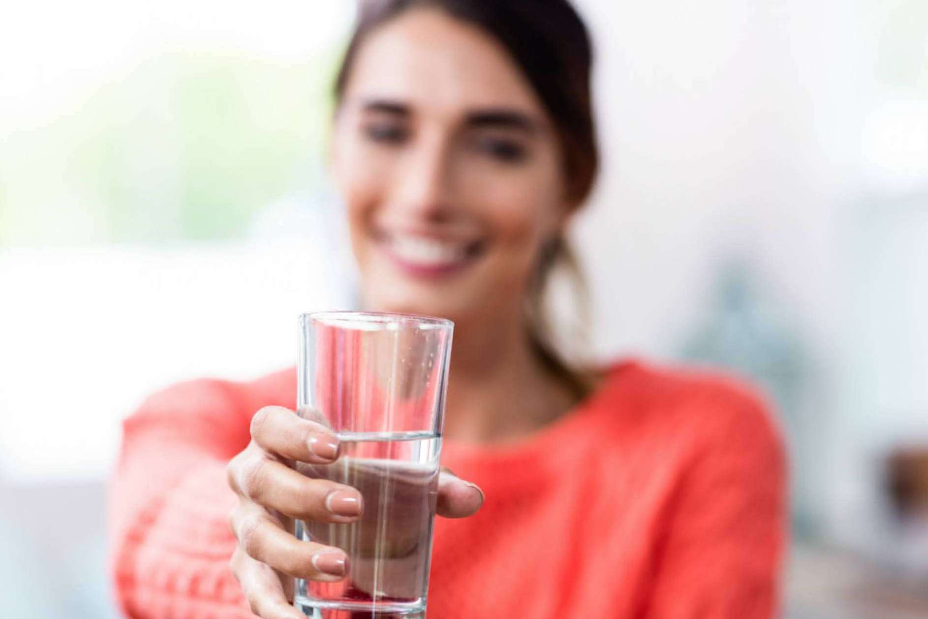 Pionero en ofrecer agua de alta pureza: Filtros Frigoríficos Americanos