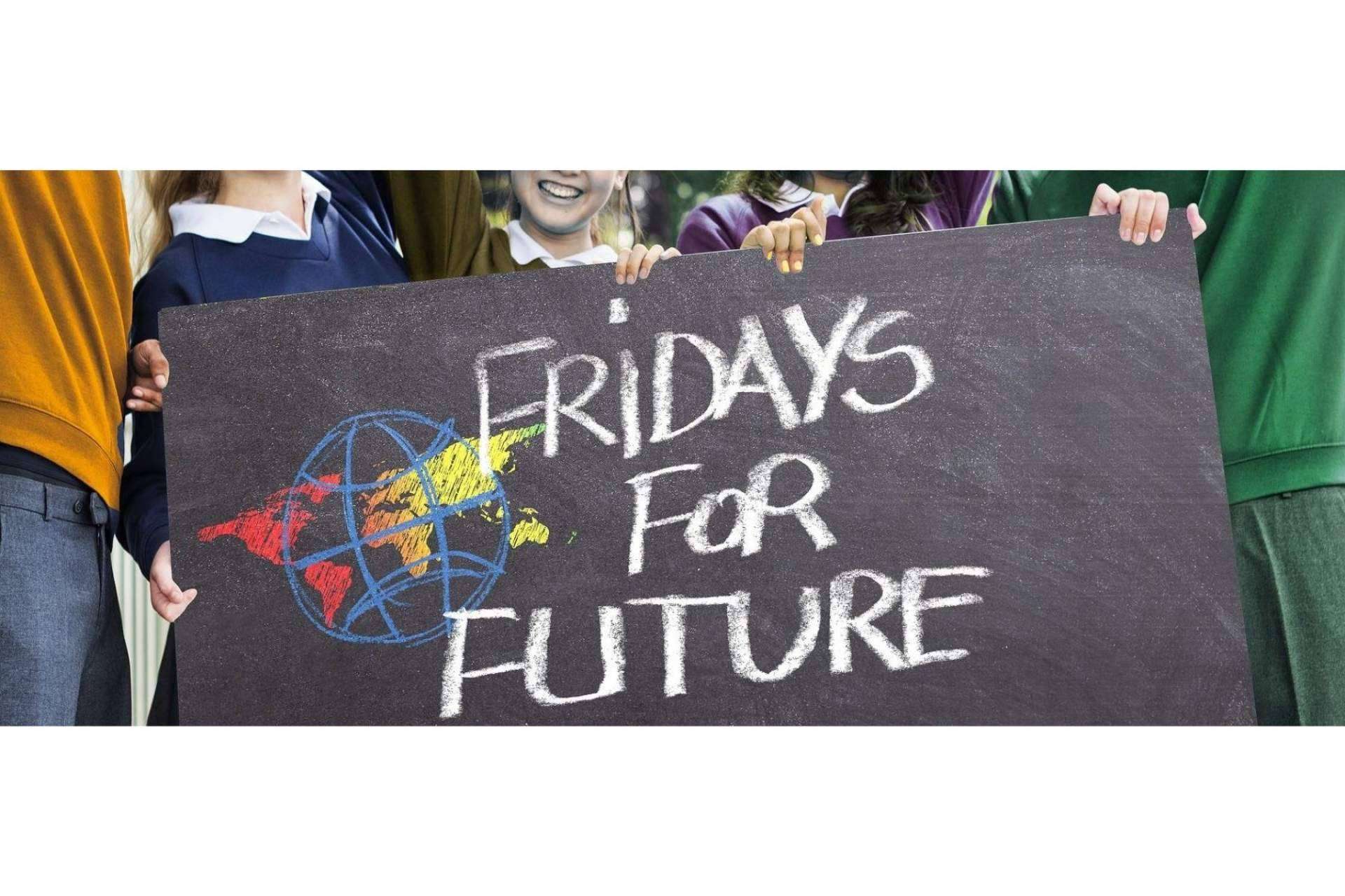 La lucha contra el cambio climático: el proyecto Ecoescuela impulsa la implicación de los centros escolares