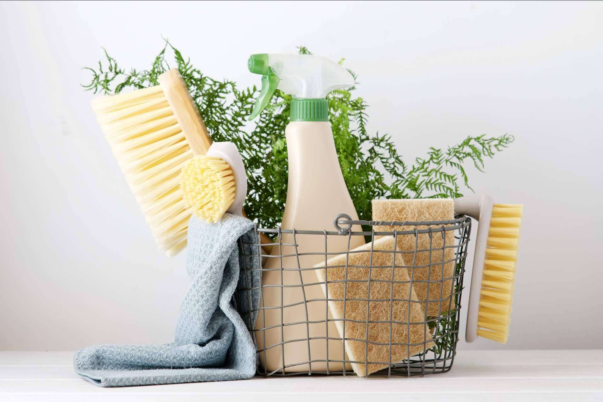 Apostar por el medioambiente con una franquicia Ecocleans