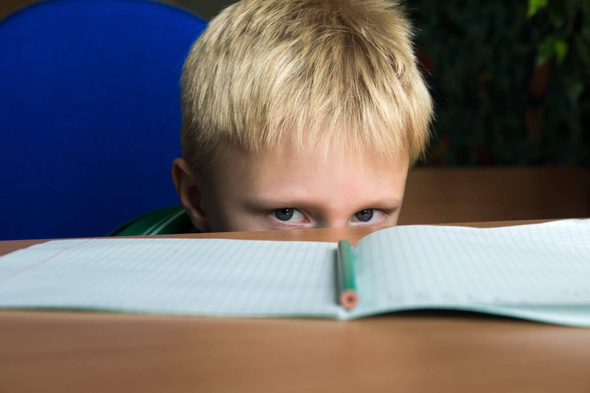 El objetivo de una evaluación psicopedagógica, por Área 44 Servicios Educativos