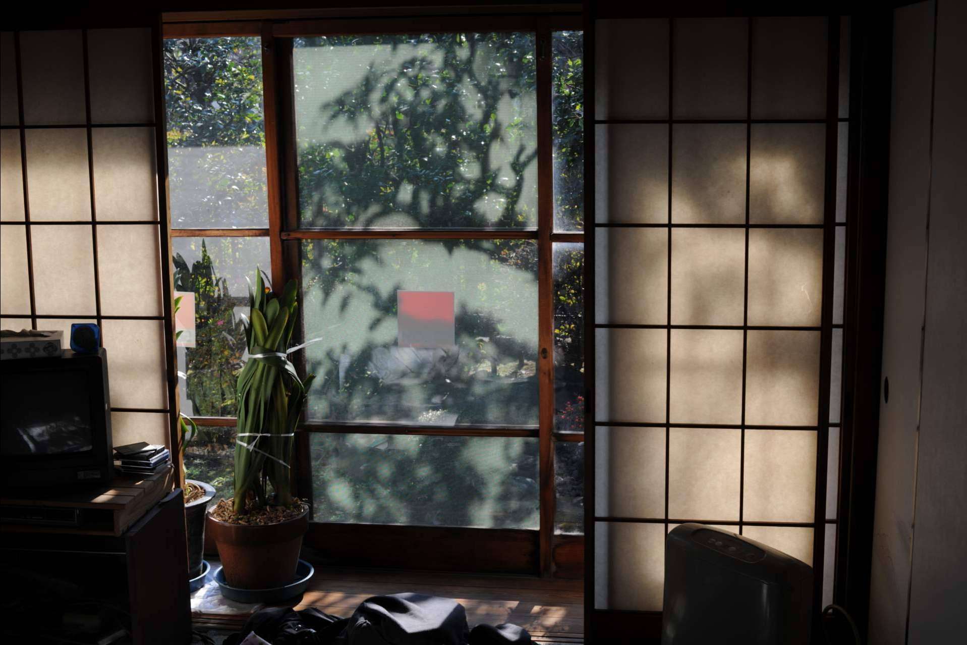 La ventana de madera es una de las mejores alternativas ecosostenibles en ventanas y balcones, según Losma Studio