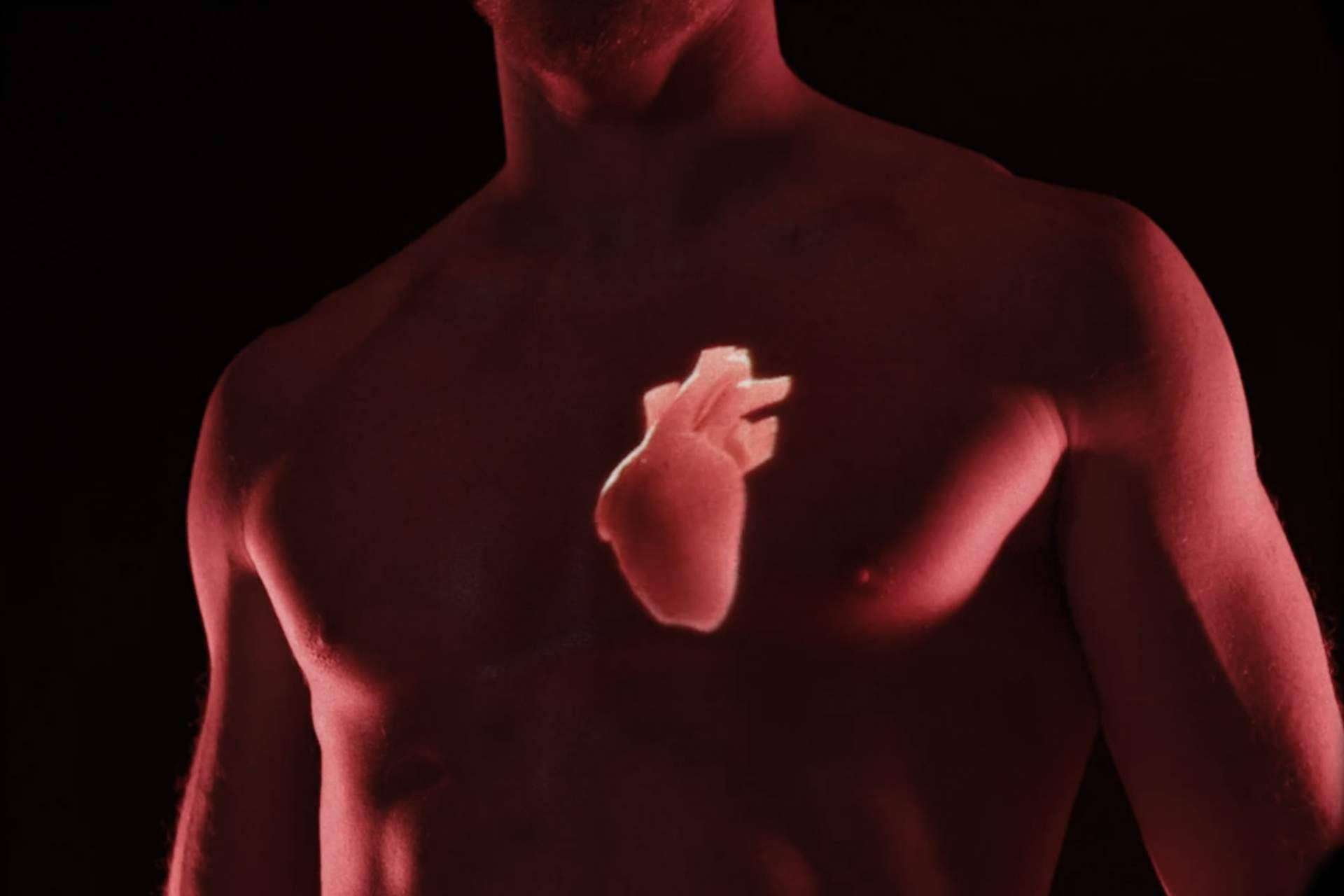 Lo que el corazón necesita: experiencia Bach Care