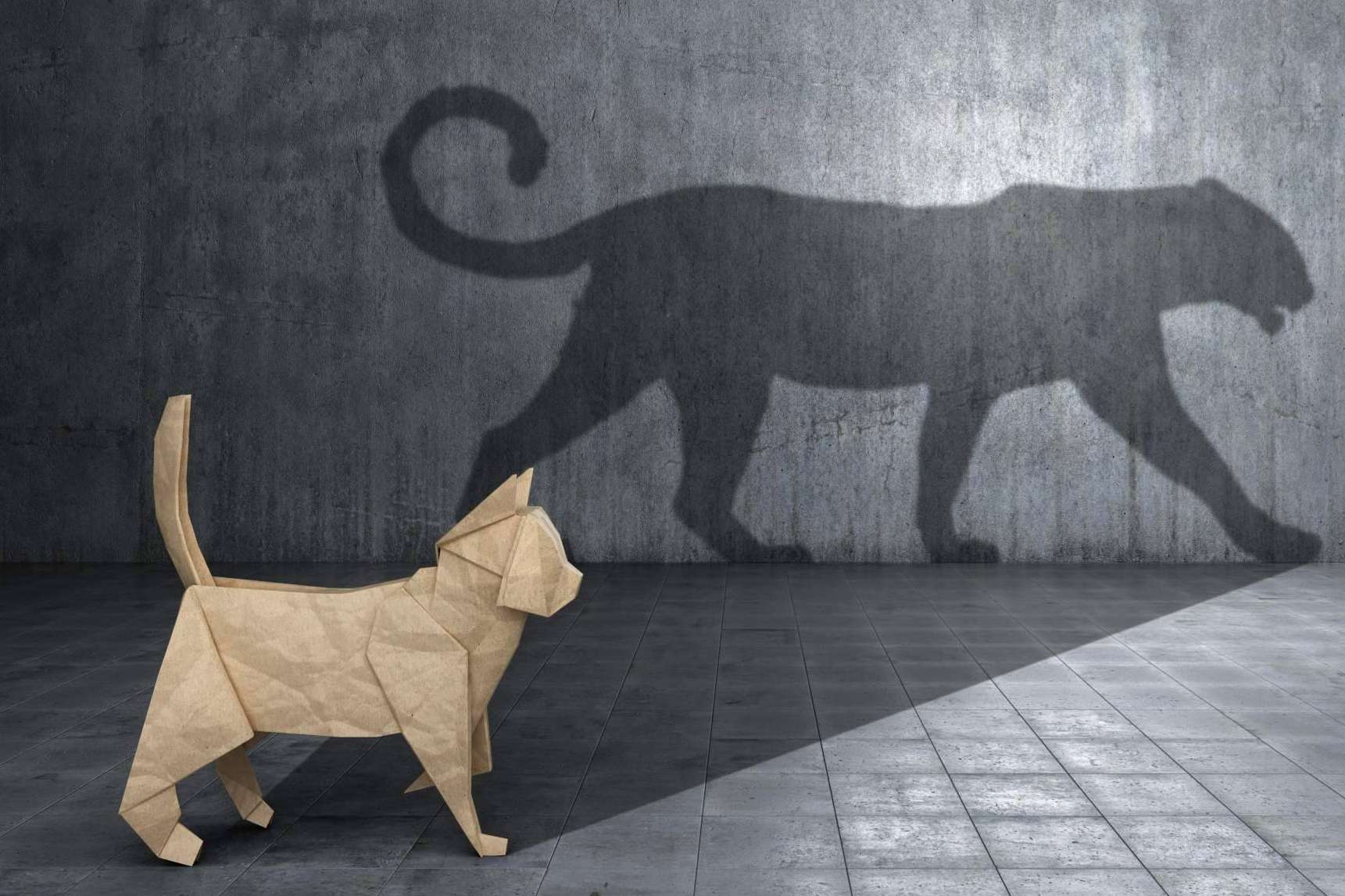 Ejecución de la transformación de empresa con la ayuda de la compañía Manager in Motion