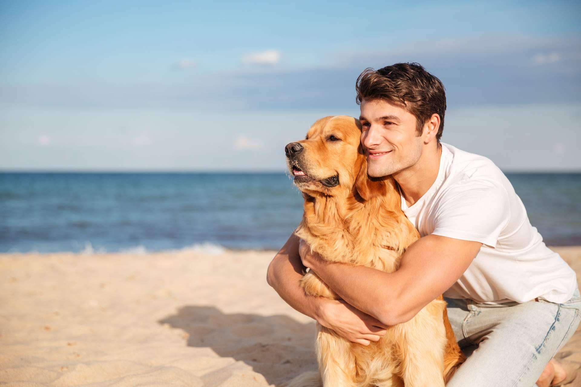 La plataforma para la adopción y apadrinamiento de animales, Miwuki Pet Shelter