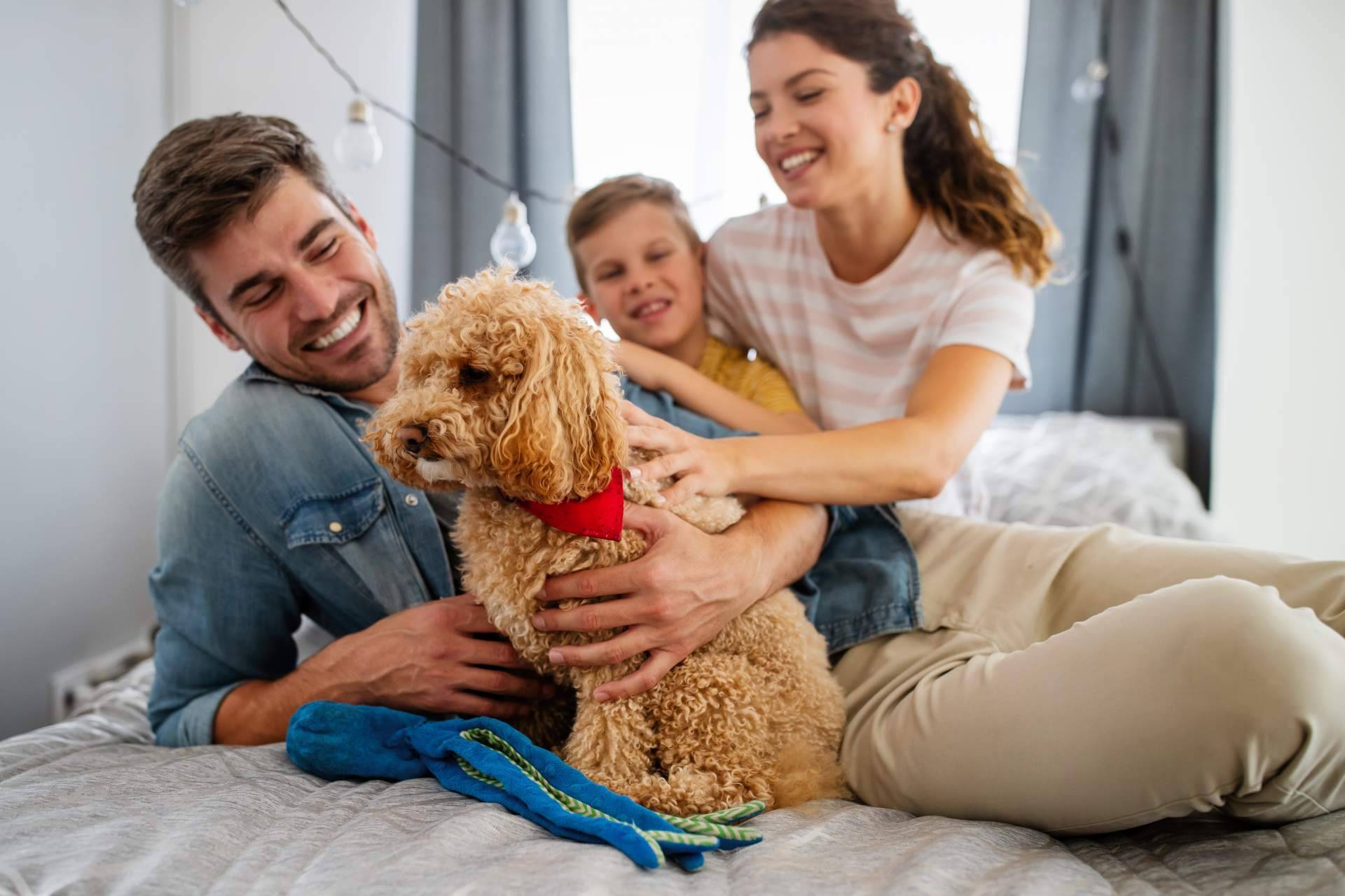 Consejos para garantizar una buena convivencia con perros y gatos. La antrozoología y etología del perro y del gato