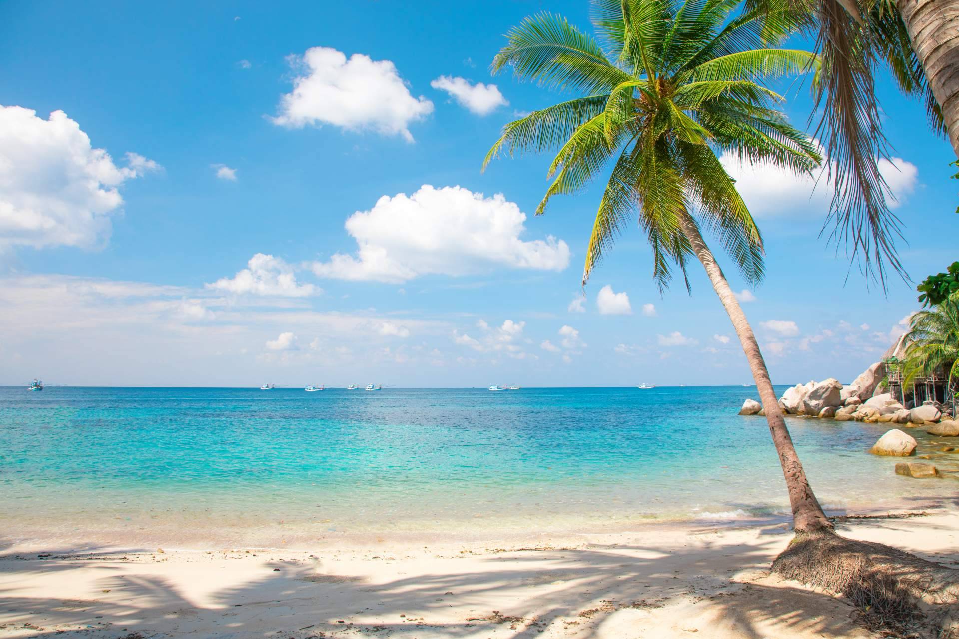 Felices Vacaciones ofrece múltiples propuestas para los españoles que buscan el sol en el Caribe durante el invierno