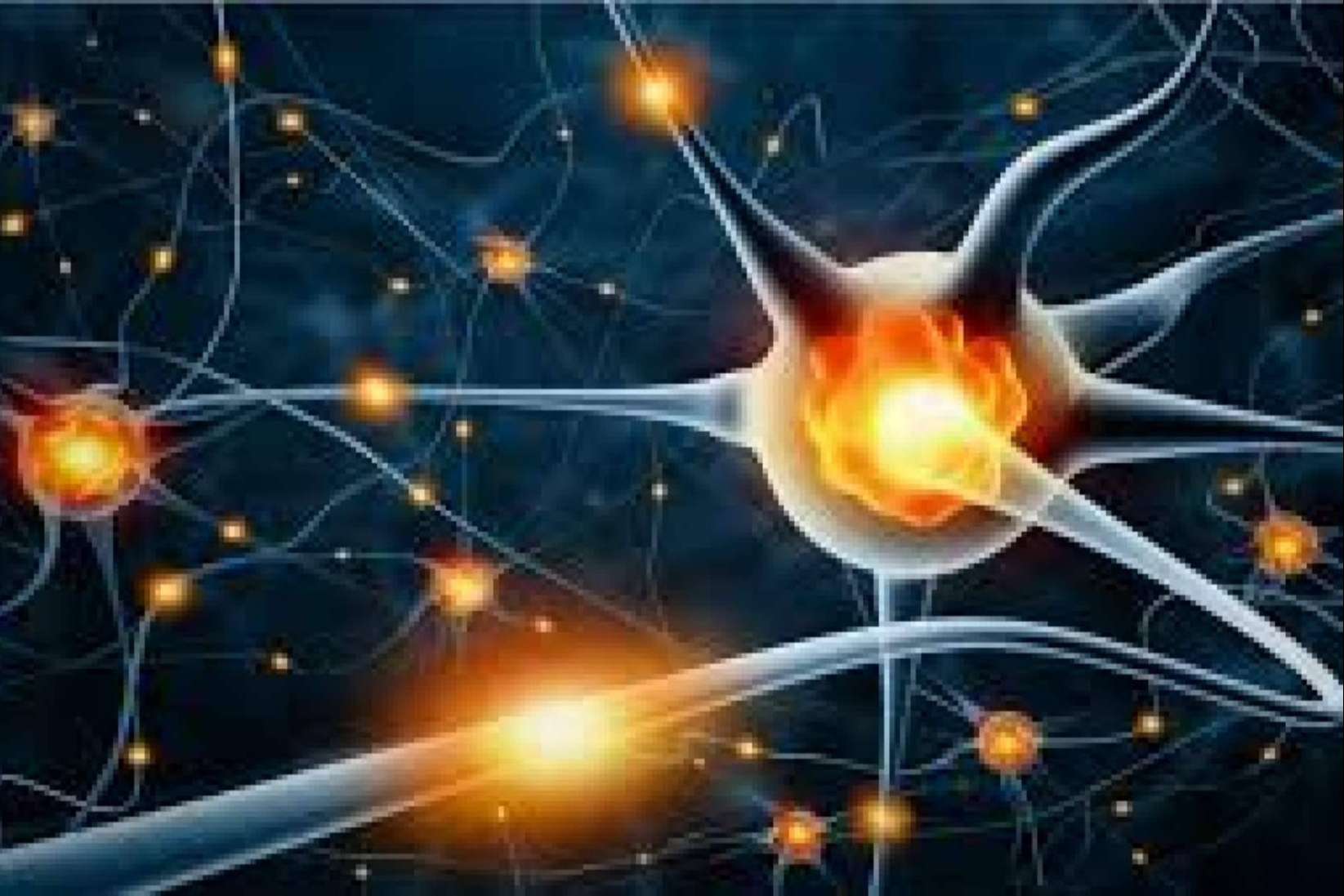 Agustín de la Luz asegura que la creación de inteligencia artificial es una tarea complicada que requiere de conocimientos, cualificación y sobre todo talento, pero entender qué es la IA no es nada complicado