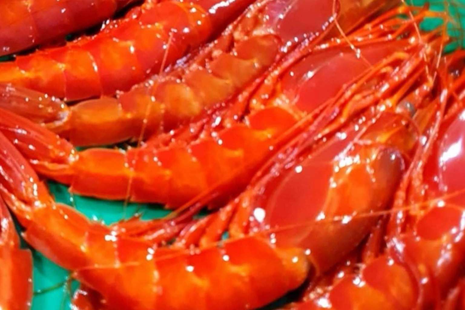 La base de una dieta equilibrada se encuentra en el pescado blanco y el pescado azul de Comprarpescadoonline