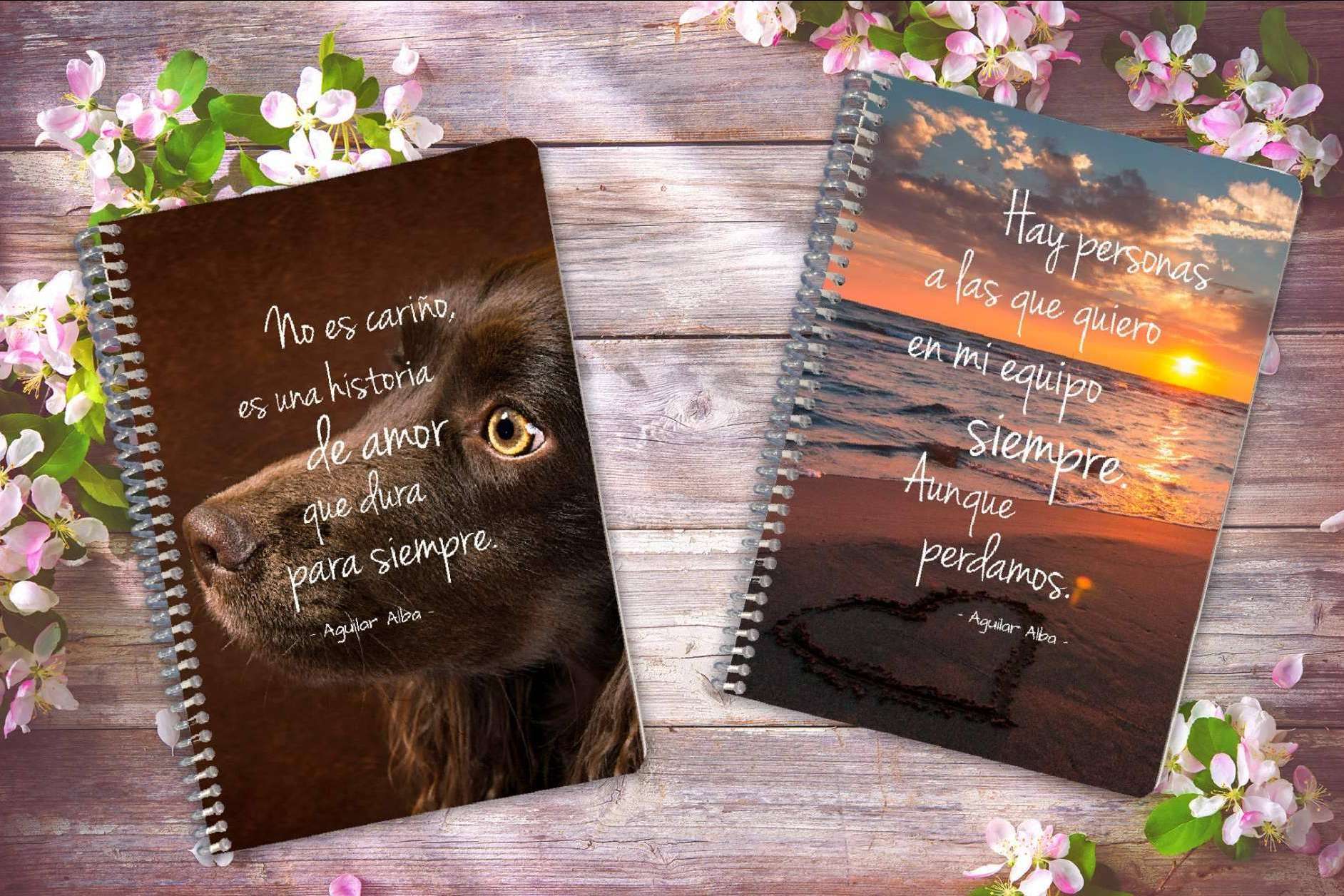 Agendas 2022 y libretas únicas de Tres en un Burro, los regalos divertidos del catálogo