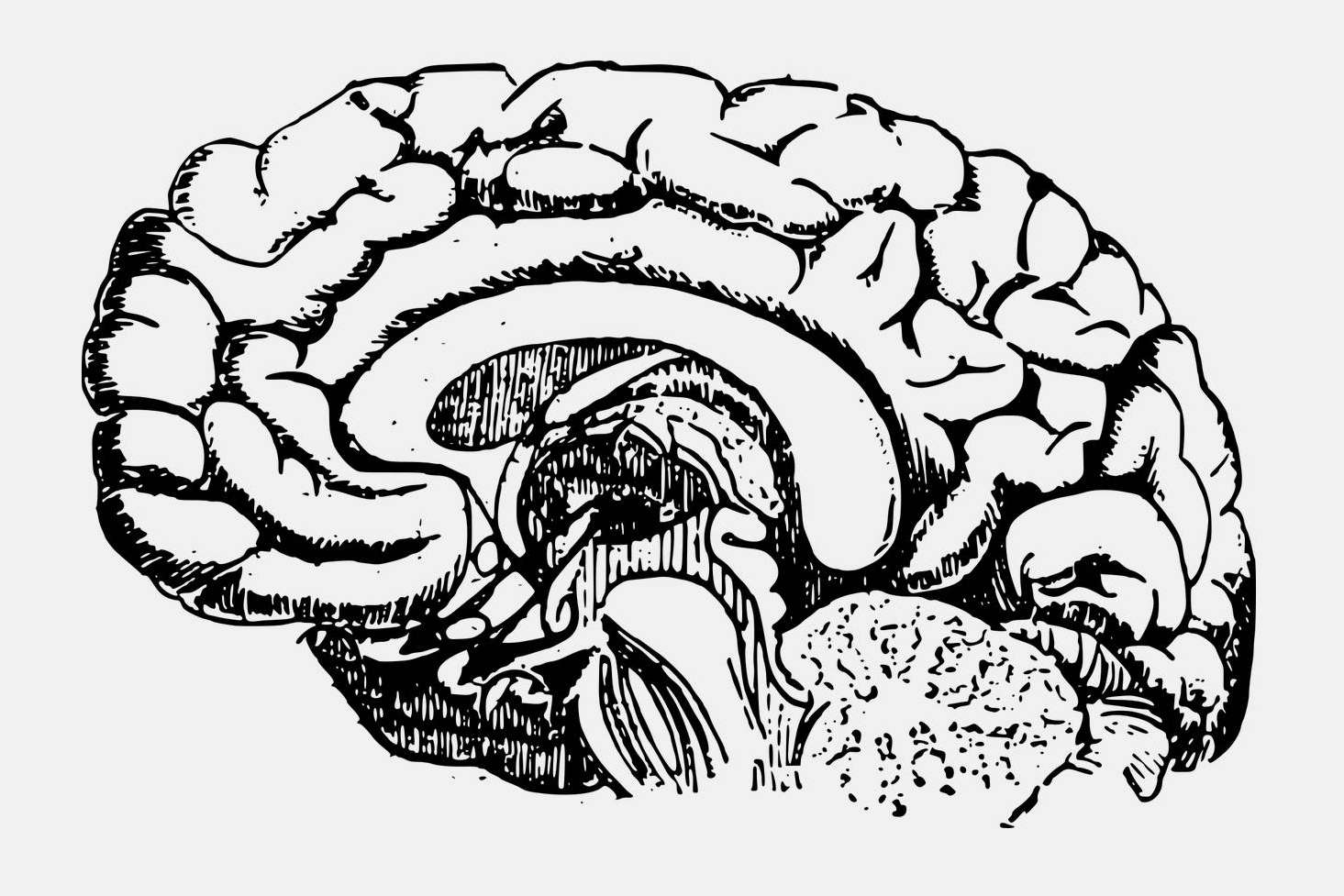 La completa obra del Dr. Edoardo Zeloni Magelli que ofrece variedad de técnicas de memoria se titula La Súper Memoria