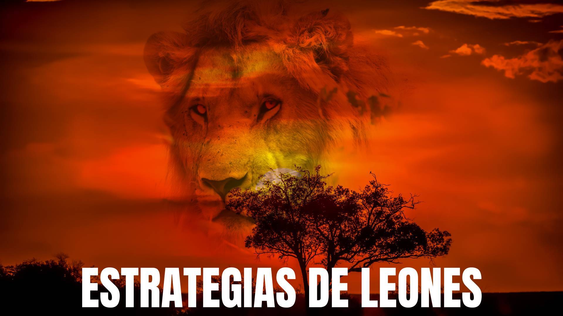 El León de Ventas, Javier Ramos, expone qué es un funnel de ventas y cuáles son sus Estrategias de Leones