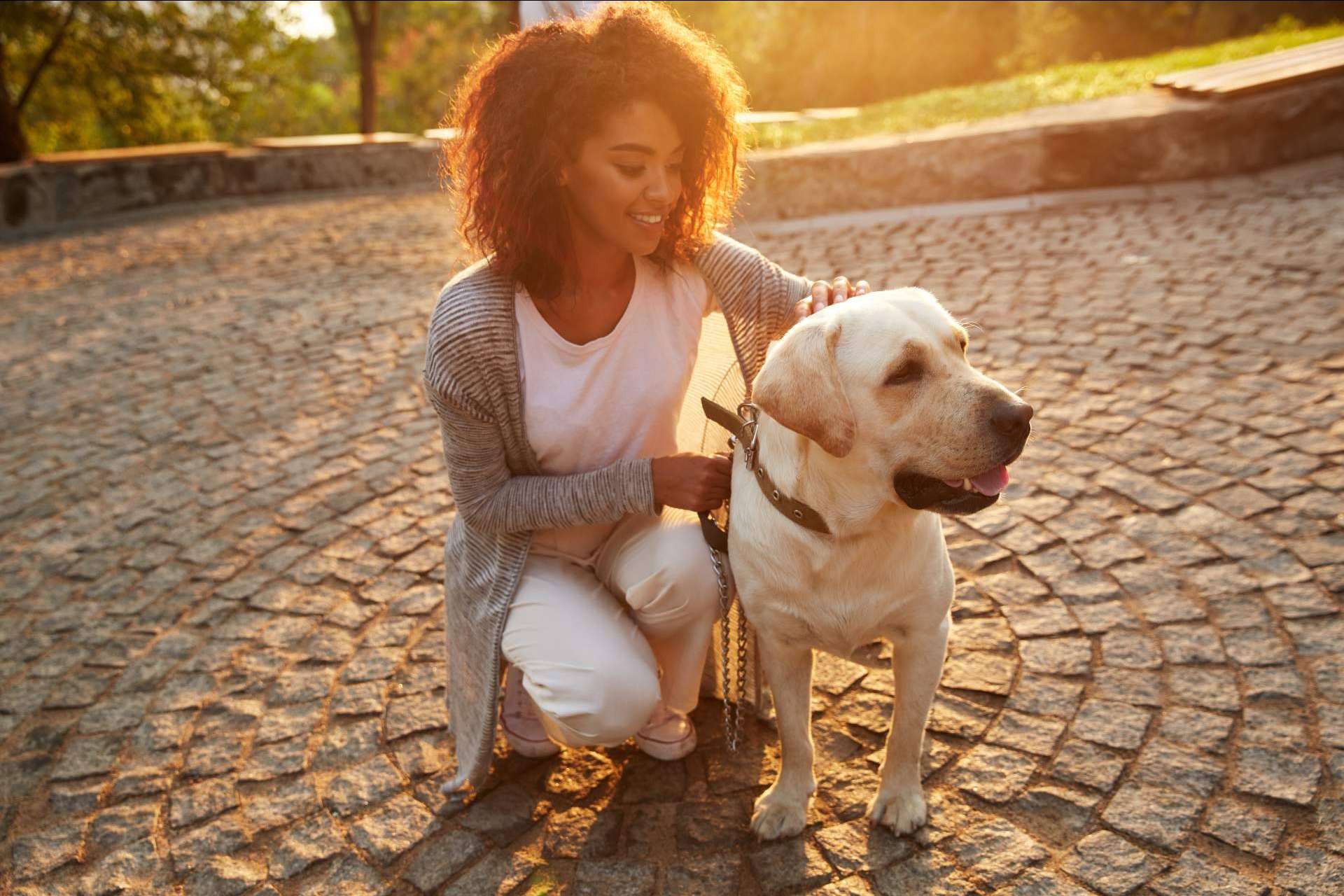 La plataforma que busca una solución al abandono de mascotas en España Miwuki Pet Shelter
