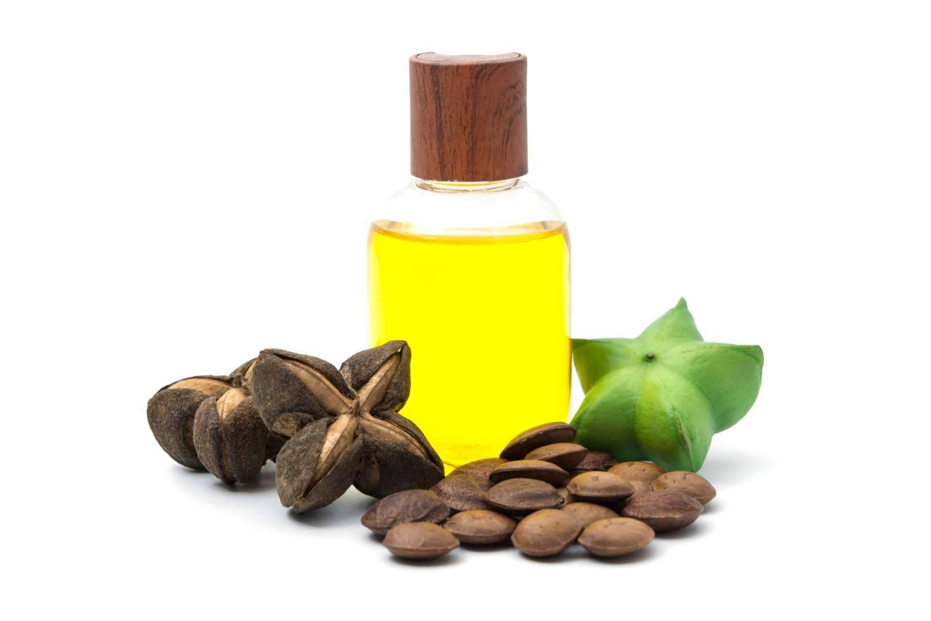 ¿Por qué son tan solicitados los aceites para el pelo de sacha inchi de CharoConector Healthy Style?