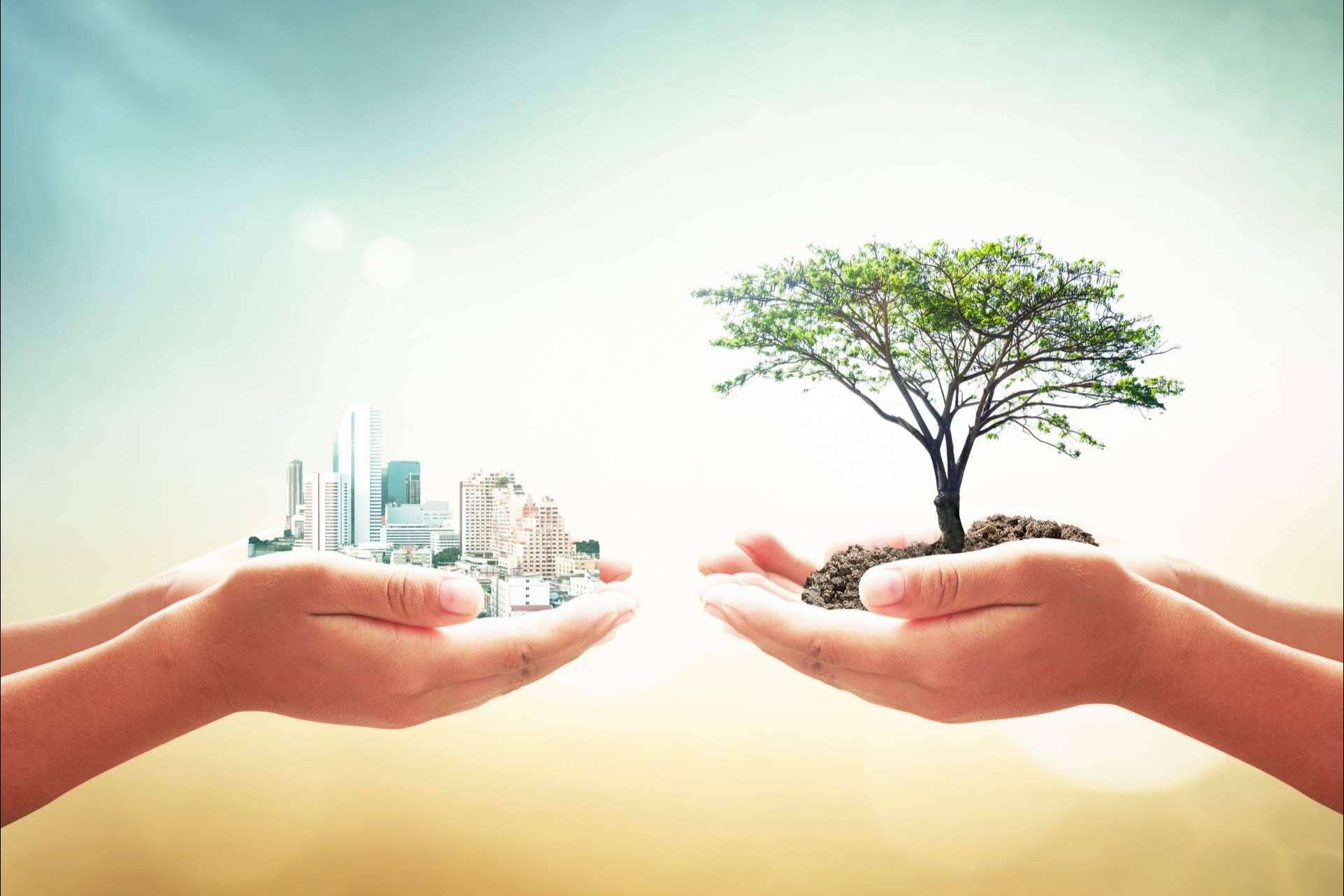 La responsabilidad ambiental empresarial, por Ipostar