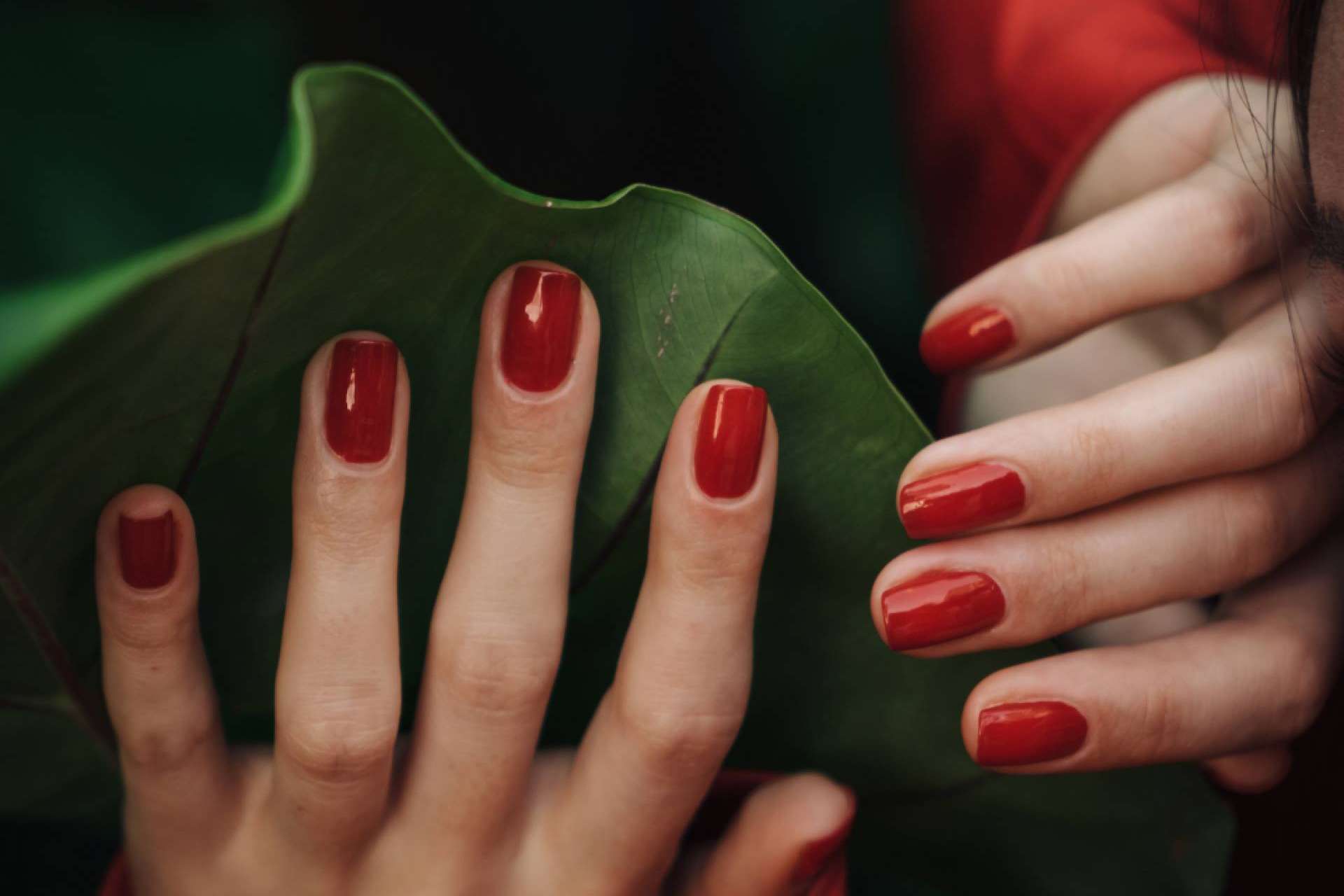 La revolución en la cosmética de los productos veganos, cruelty free y no tóxicos de Kunal Cosmetic