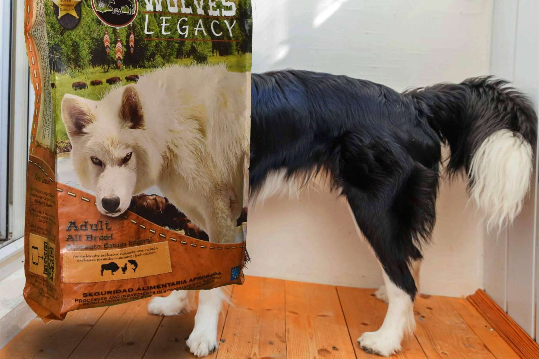 Cómo evaluar los mejores piensos para perros