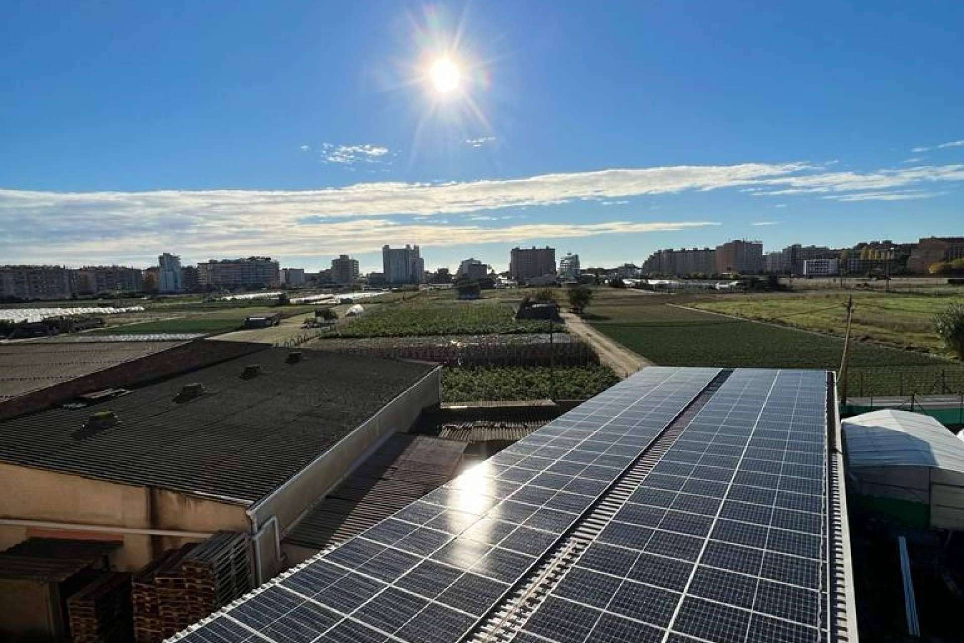 Multiplicidad de soluciones energéticas de la mano de Energiber y Trienergía