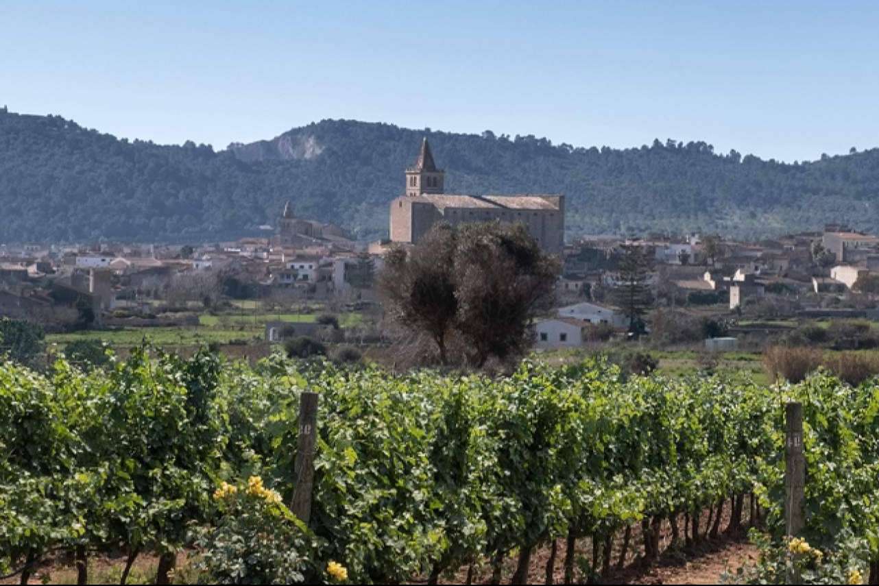 3.10 Celler, la maravillosa experiencia de disfrutar de vinos ecológicos