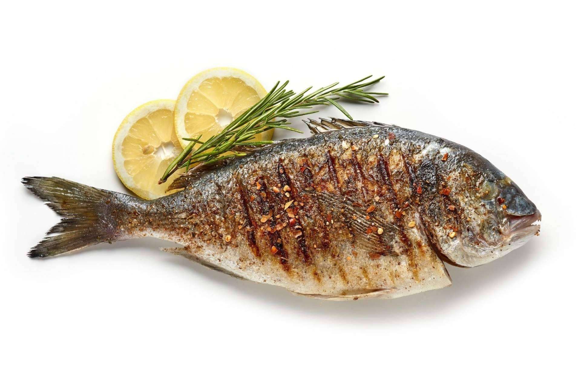 ¿Dónde adquirir pescados, mariscos, moluscos y vinos?