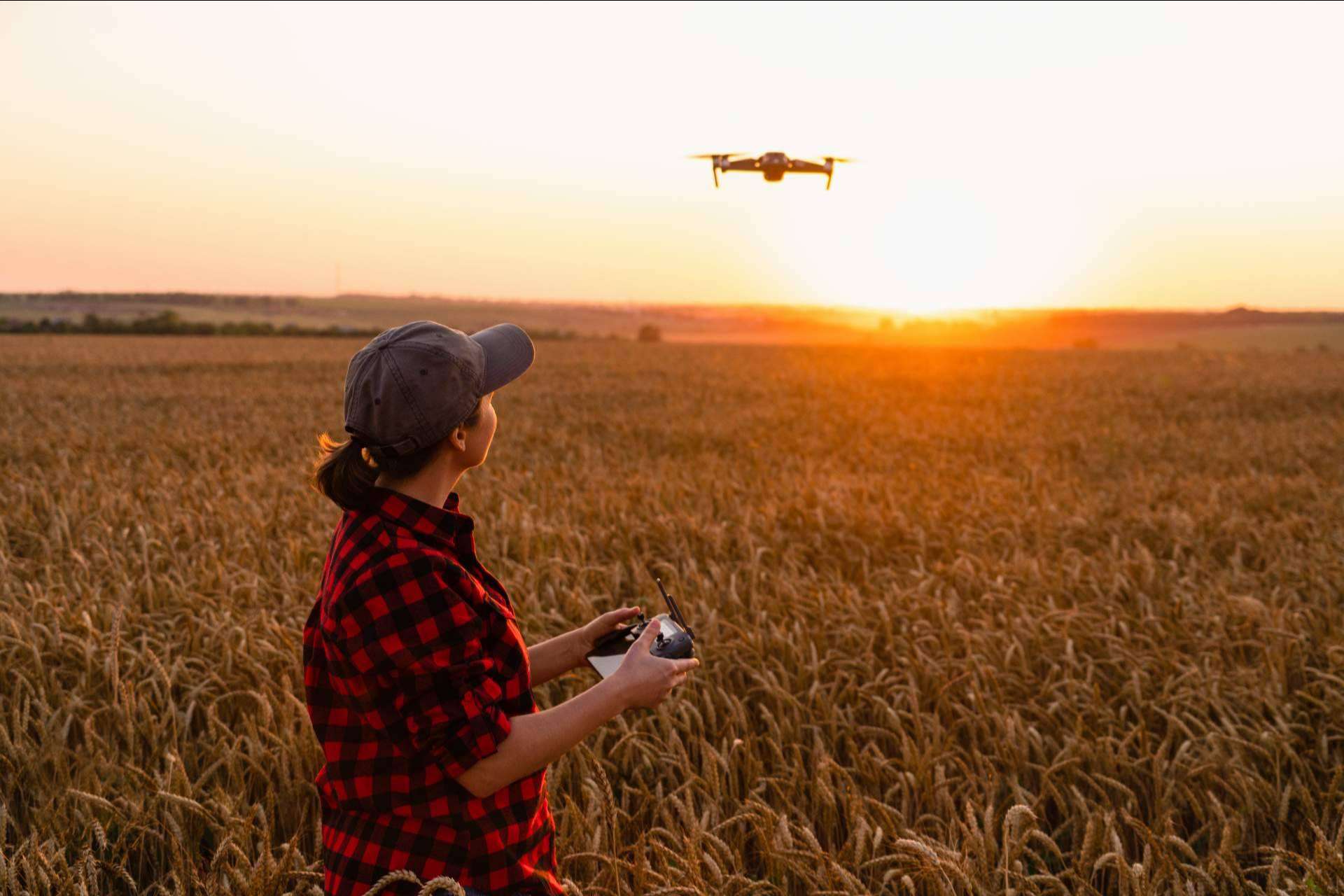 El nuevo modelo del futuro de la mano de IbericaDron, drones agricultura
