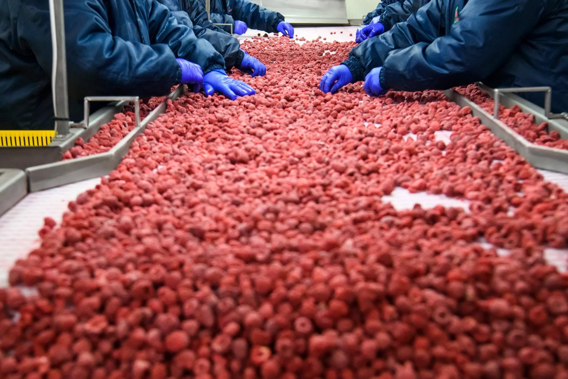 La limpieza y desinfección de las instalaciones en las empresas alimentarias es un aspecto importante