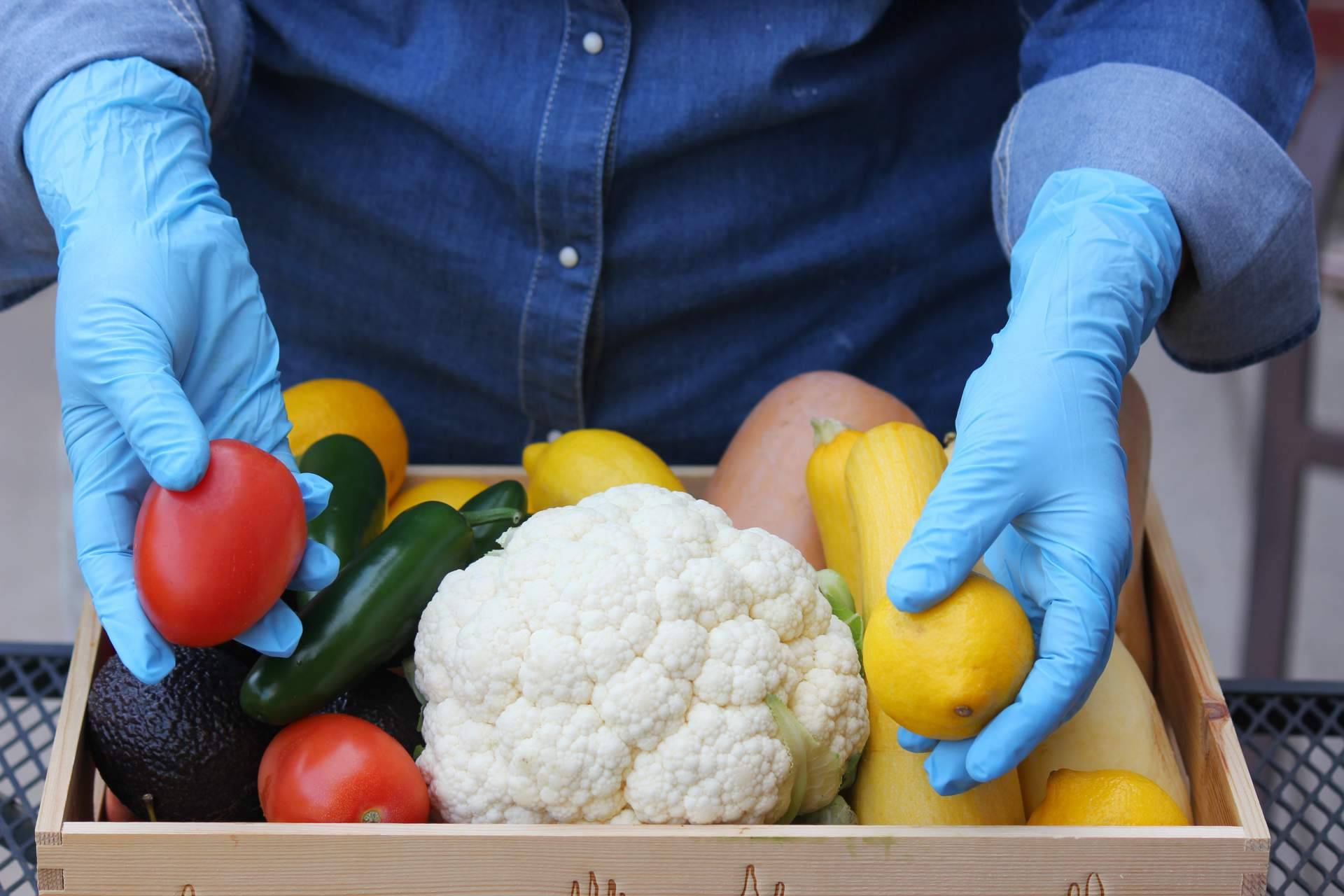 Tecnas Servicios Integrales de Formación y Desarrollo SL habla de la importancia de realizar un curso de manipulador de alimentos para entrar a trabajar en el sector de la hostelería