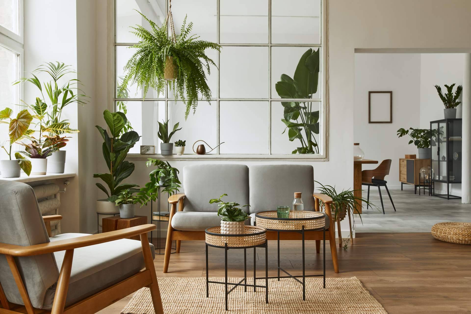 Decoración de salas con encanto, por Decomolongui