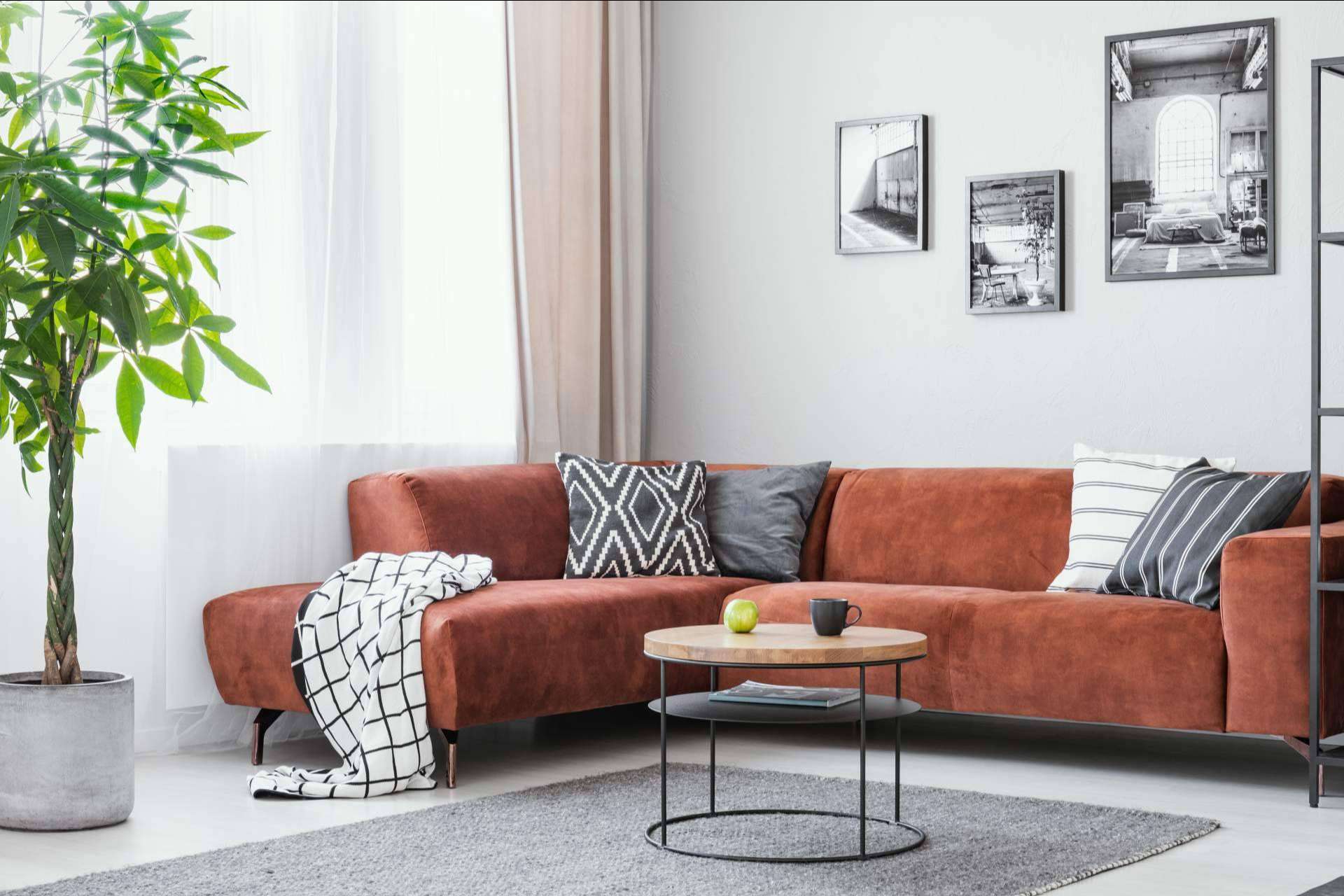 Cómo decorar una sala polivalente