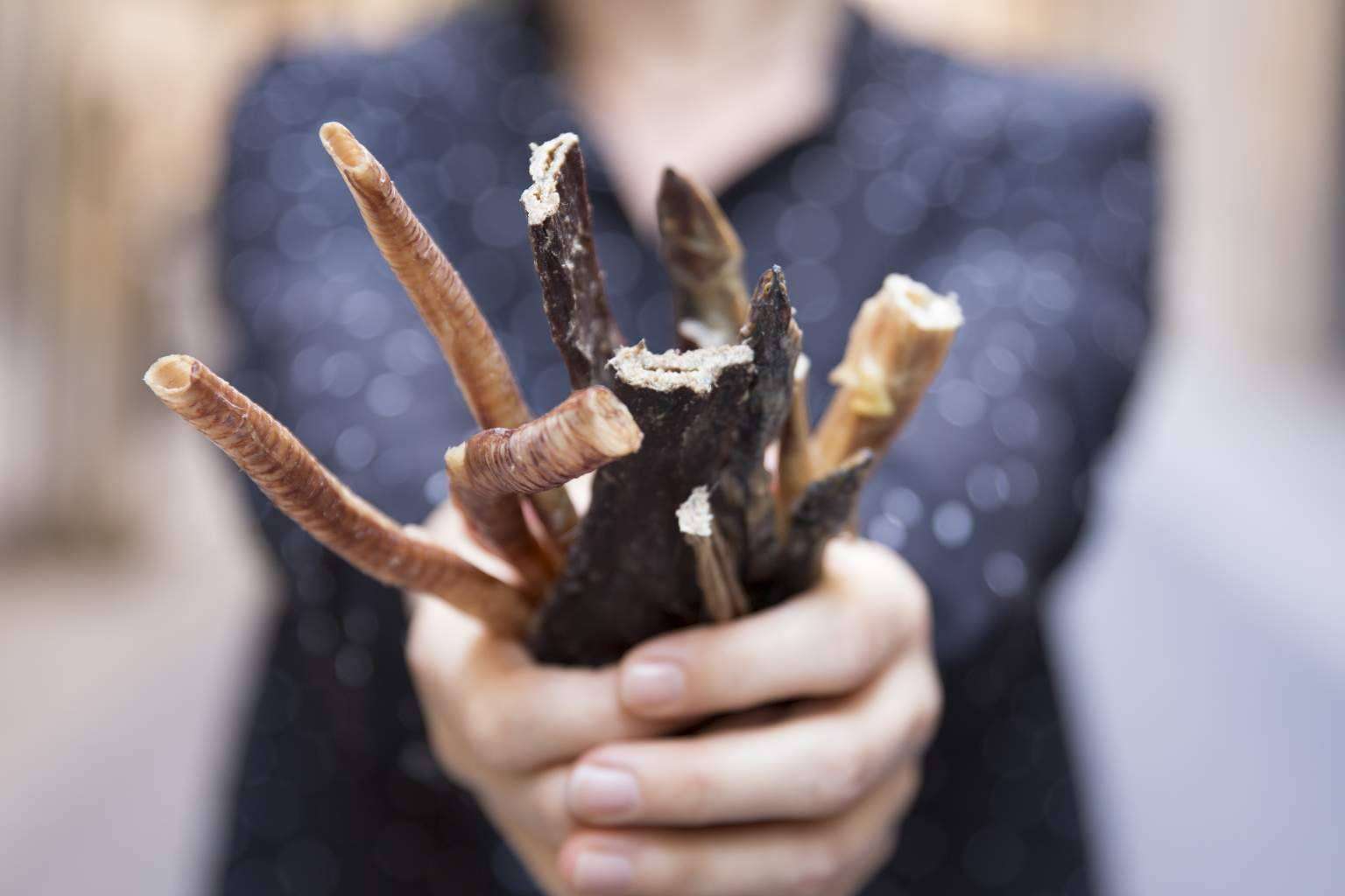 Snacks saludables para perros de la mano de CRU