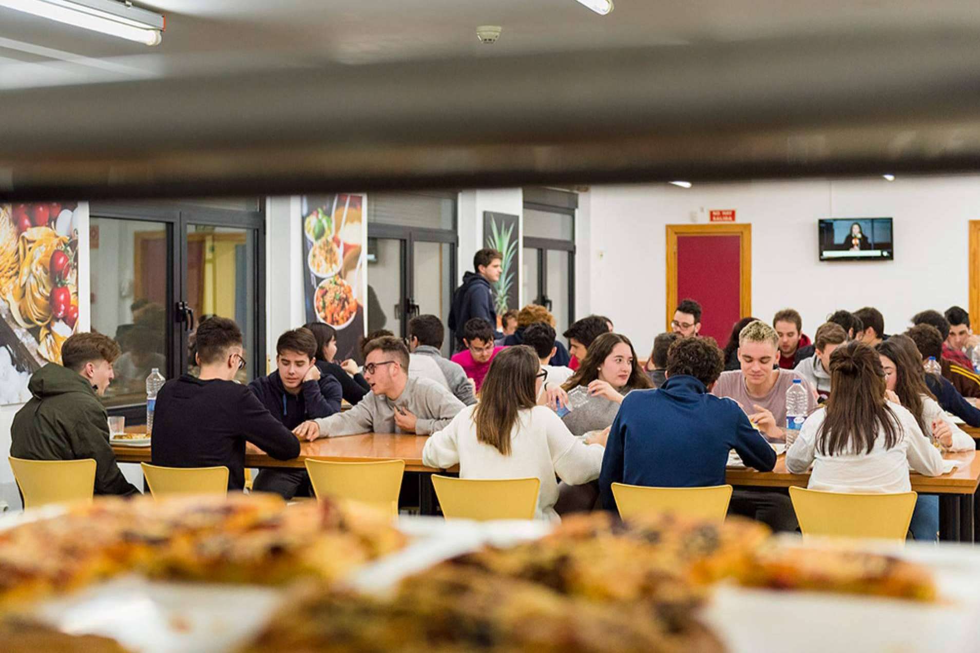 Colegio Mayor Ovidi Montllor indica cuáles son las principales características que debe tener una residencia para estudiantes