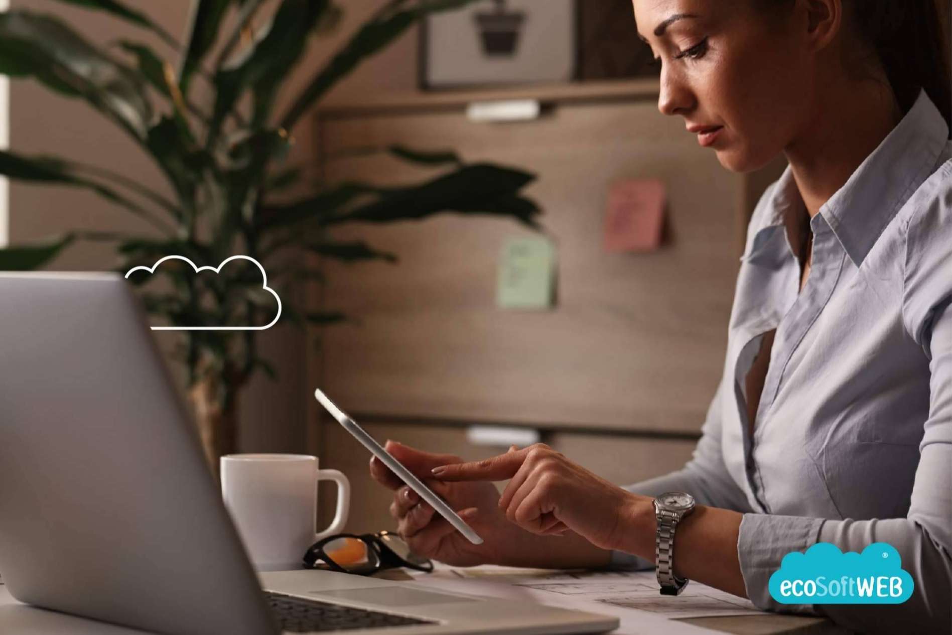 ecoSoft Consulting lanza ecoSoftWEB, el software para empresas